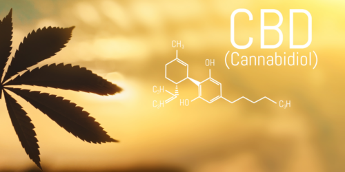 5 sorprendentes beneficios del CBD en la salud y el bienestar