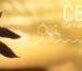 5 sorprendentes beneficios del CBD en la salud y el bienestar